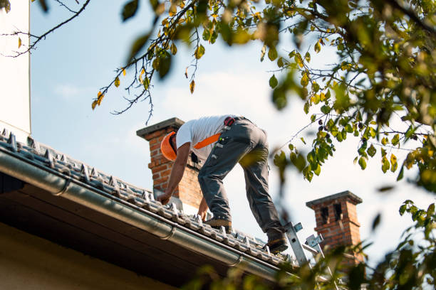 Quick and Trustworthy Emergency Roof Repair Services in Ukiah, CA
